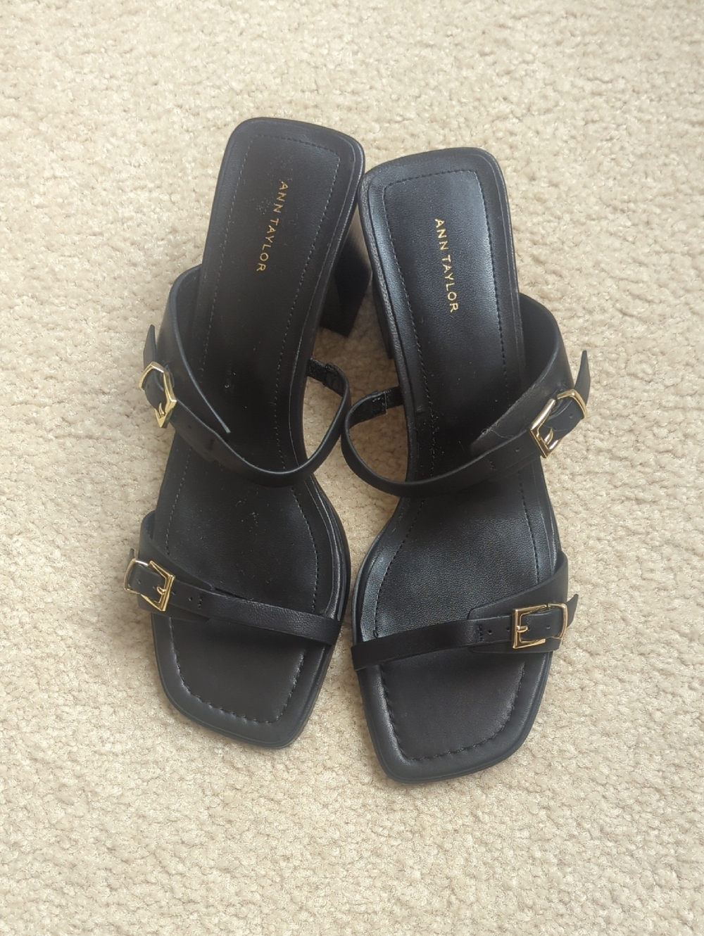 Cute 2 Strap Ann Taylor Sandals
